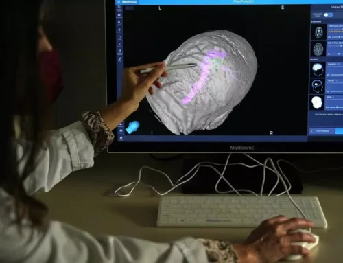 ¿Cómo funciona nuestro cerebro?