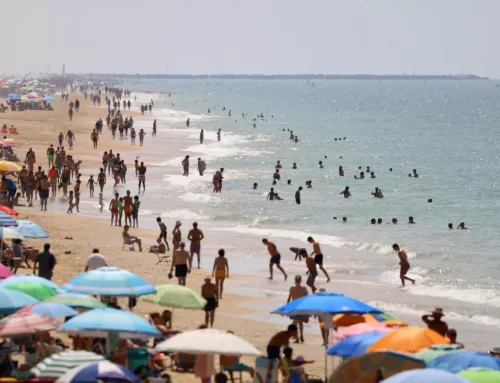 No te despistes en el agua este verano